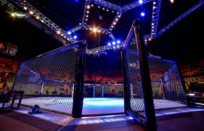 Saliba et Kolo-Muani investissent dans le MMA