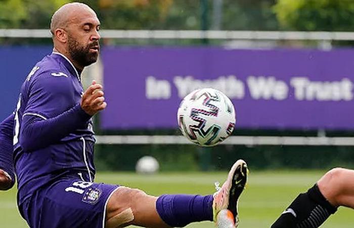 Vanden Borre juge le travail de Fredberg & co