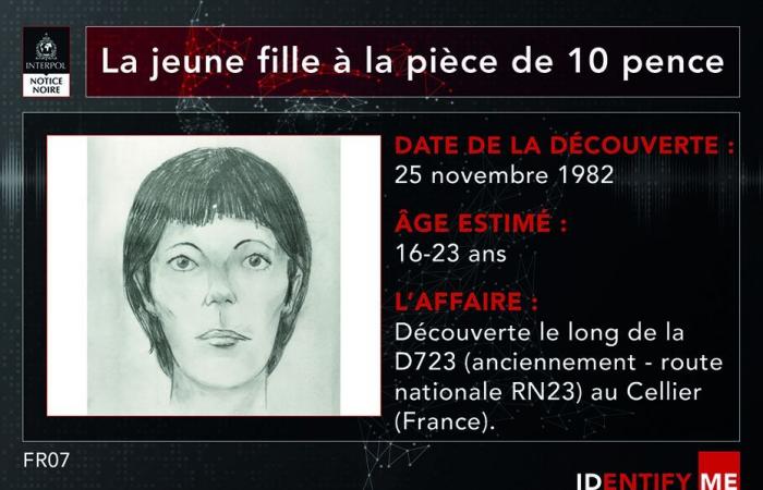 Interpol lance un appel à témoins pour identifier “la jeune fille à la pièce de 10 pence” retrouvée morte en Loire-Atlantique en 1982