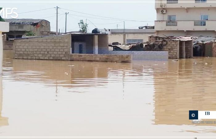 plusieurs villages envahis par les eaux des fleuves Sénégal et Falémé – Agence de presse sénégalaise