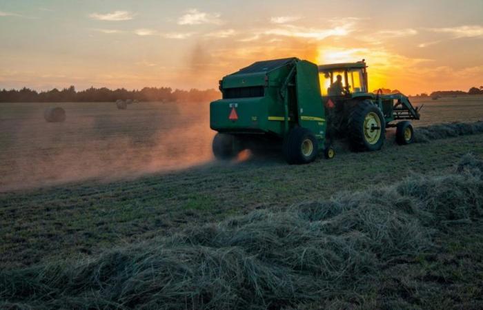 ils résolvent un conflit familial en y pénétrant en tracteur