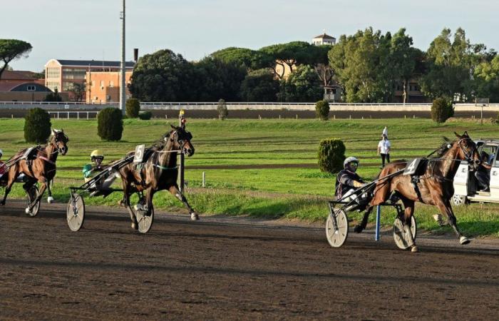 First of Mind remporte le Derby italien 2024 devant Frank Gio