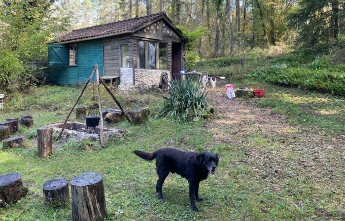 “Ce qui compte, c’est d’être dans les bois”