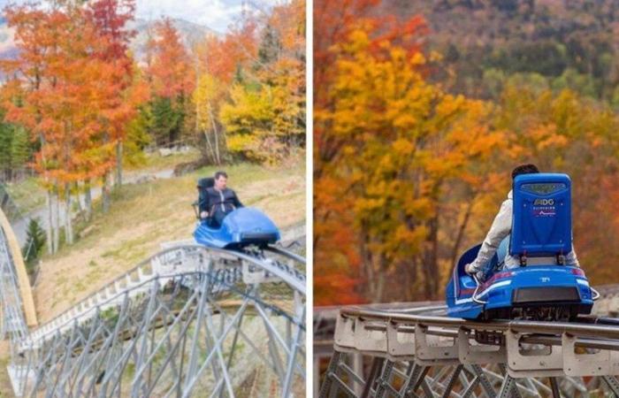 Vous pouvez monter des montagnes russes de 2 km en pleine nature à 2h30 de Montréal