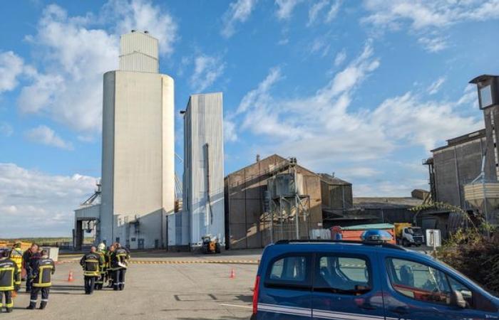 Une trentaine de pompiers mobilisés sur un incendie de séchoir à grains, au nord du Loiret