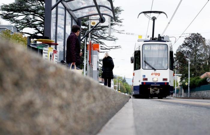 La ligne de tramway Route de Chêne va être réaménagée