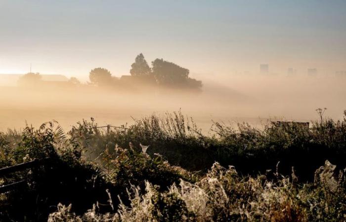 Brouillard et gel répétés la nuit à partir de lundi