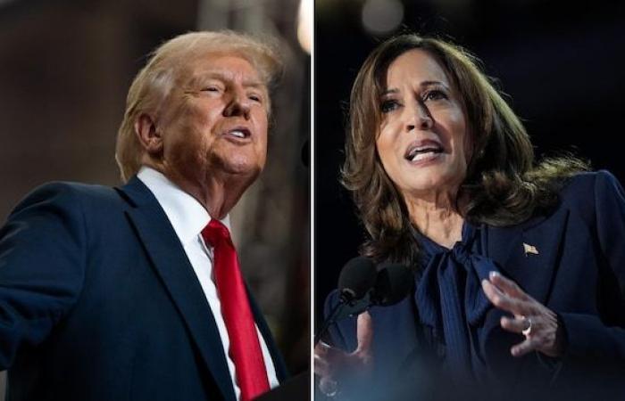 Trois semaines avant les élections, Harris et Trump au coude à coude dans deux swing states