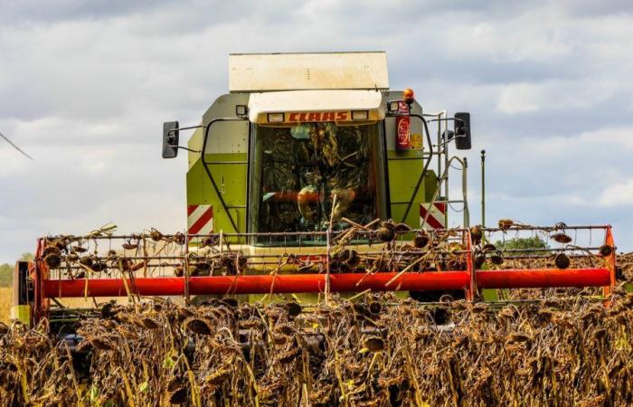 Au Nord, ils ont failli s’entre-tuer sur fond de conflit agricole