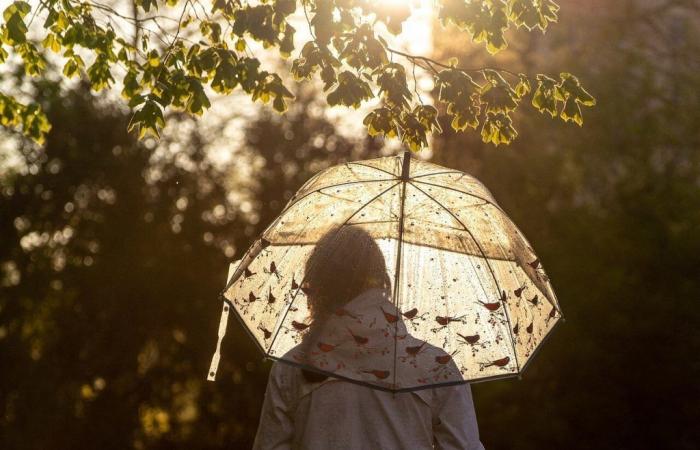 voici la météo de la semaine dans le Nord