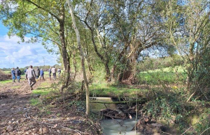 où sont les travaux sur ces berges de rivière ?