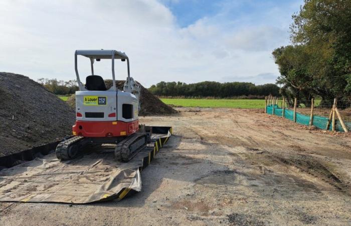 la nouvelle vie de la « verrue » des marais salants