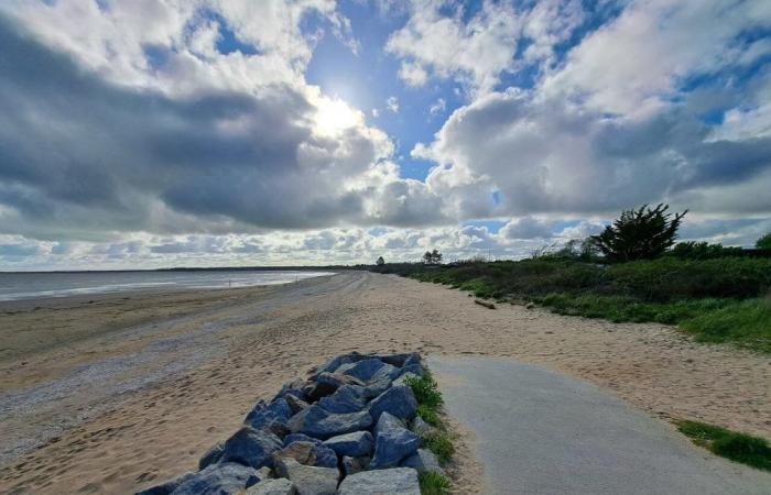 il est à nouveau interdit de ramasser des moules sur cette plage du Calvados