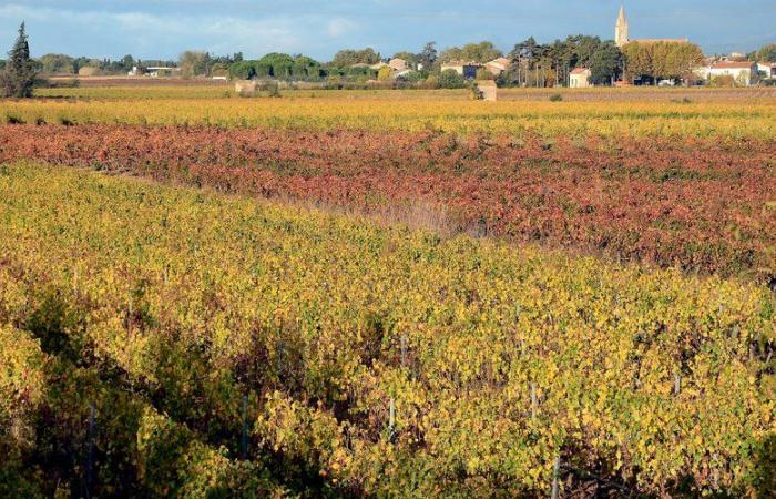 Comment l’offre de randonnées a fait de l’Aude une destination d’exception en France