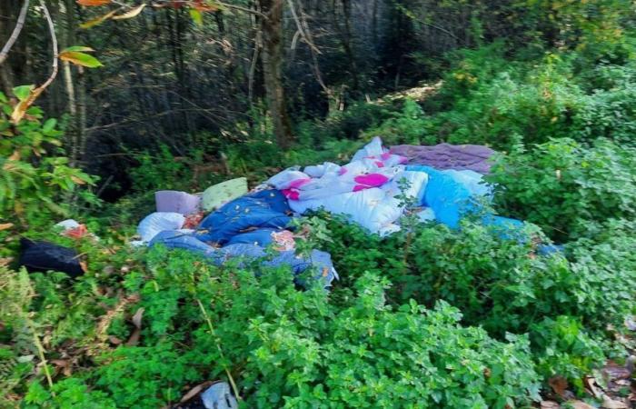 draps, couvertures, matelas jetés dans un bois à Saint-Sulpice-le-Dunois