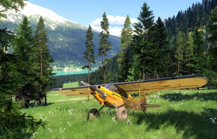 Flight Simulator 2024 consommera BEAUCOUP de bande passante