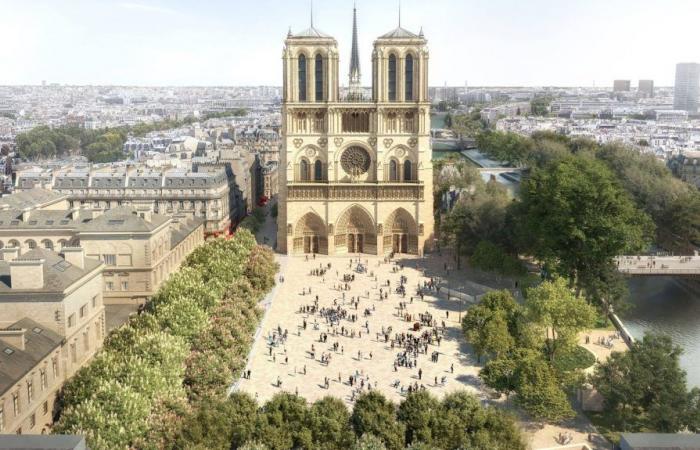 un projet de végétalisation autour de la cathédrale, adapté au réchauffement climatique