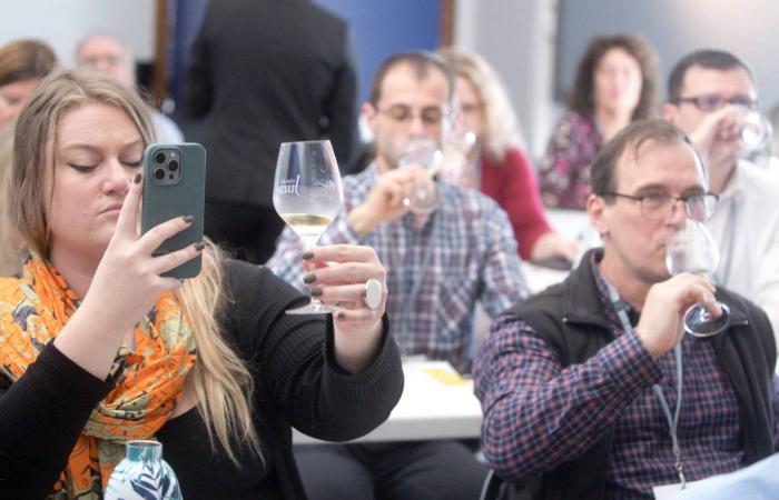 Lors du Congrès Mondial de la Vigne et du Vin, le Jura et la Bourgogne ont proposé des ateliers