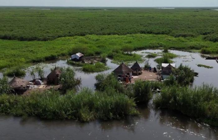 au Soudan du Sud, les habitants font face à la montée des eaux