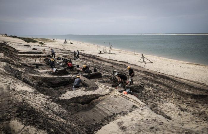 De nouvelles fouilles archéologiques au pied de la dune du Pilat, avant les ravages de l’érosion