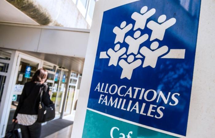 des associations attaquent l’algorithme antifraude de la CNAF devant le Conseil d’Etat – 16/10/2024 à 15h15