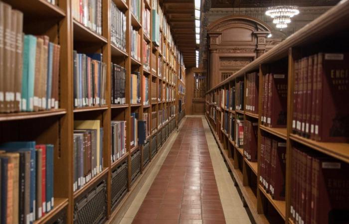 «Des petits travaux pour un palais», la bibliothécaire qui rêvait d’un mausolée du livre