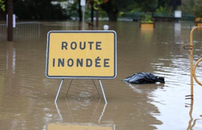 De fortes pluies et des inondations dans le Sud-Est inquiètent la population : Actualités