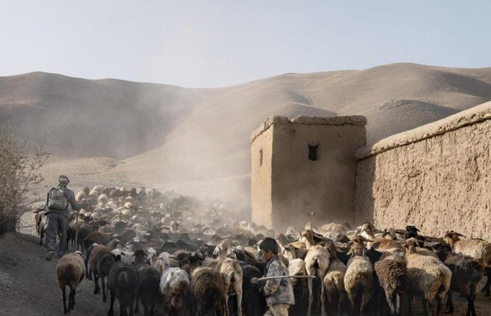 Notre famille afghane, souvenirs d’une vie disparue