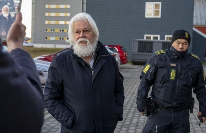 Le militant écologiste Paul Watson, emprisonné au Groenland, a demandé l’asile en France à Emmanuel Macron, annonce son ONG Sea Shepherd