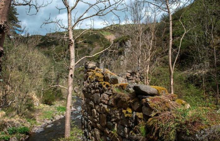 Cette histoire terrifiante dans une vallée perdue en Haute-Loire