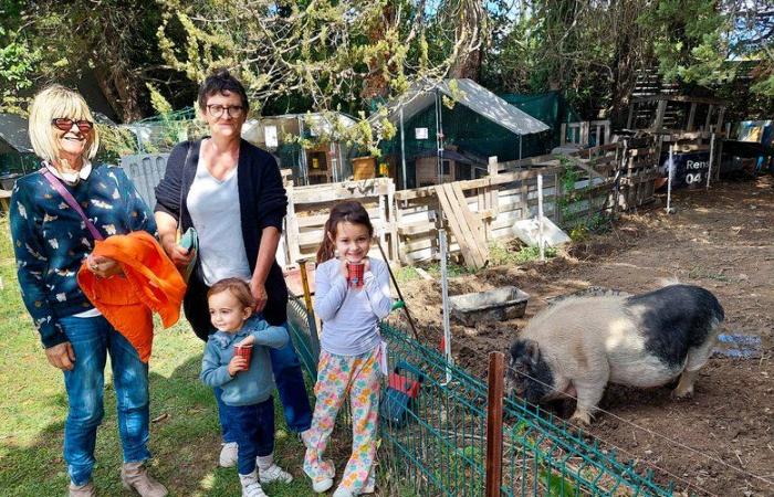 Des activités ludiques à la ferme de la Boucle d’Or