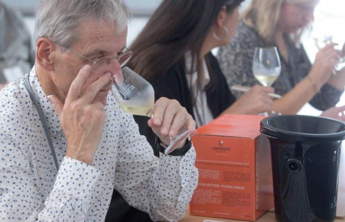 Lors du Congrès Mondial de la Vigne et du Vin, le Jura et la Bourgogne ont proposé des ateliers