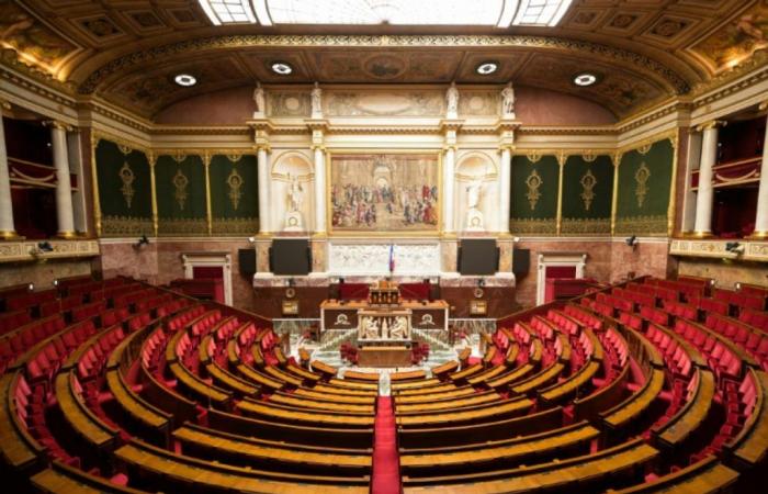 Revenus élevés, « flat tax », superdividendes… Les députés renforcent les « recettes » du budget 2025 – le 17/10/2024 à 00:40