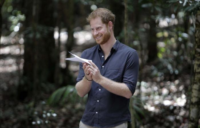 Le prince Harry très inquiet : son message vidéo sans concession