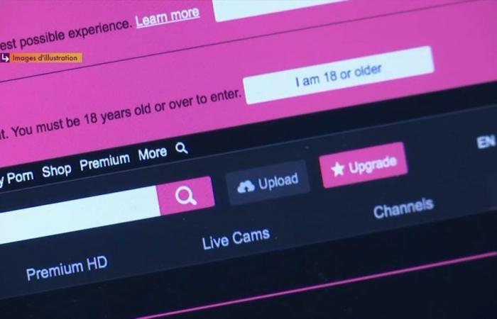 Tukif, Xhamster… la justice ordonne le blocage de plusieurs sites pornographiques en France