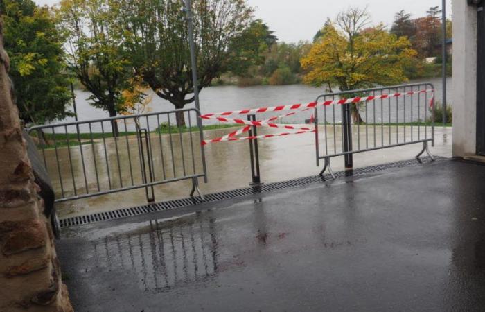 Loire. Le pic des crues n’est pas encore atteint, les précipitations vont reprendre