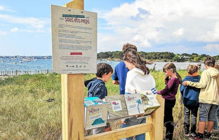 À Concarneau, quel est le secret de la réussite des espaces pédagogiques ?