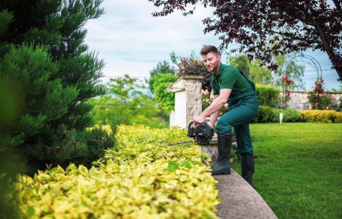 Deux offres d’emploi en aménagement d’espaces verts et en secrétariat