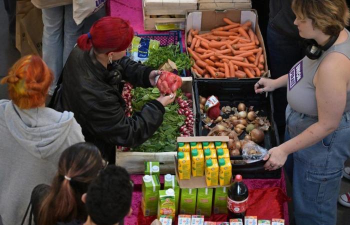 près d’un étudiant sur cinq a recours à l’aide alimentaire, selon un rapport