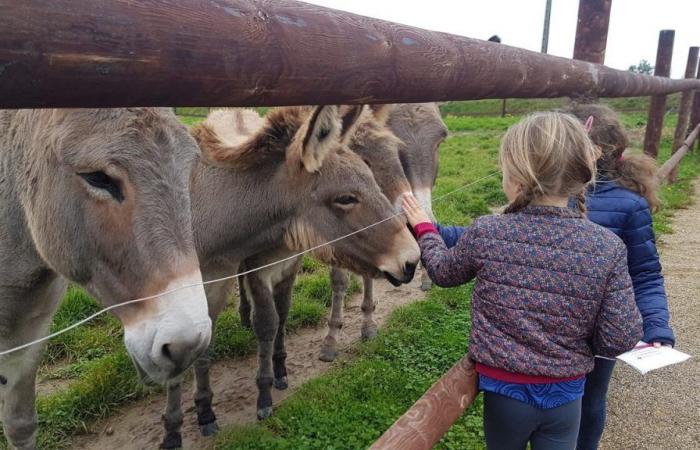 nos idées d’activités pour vos enfants