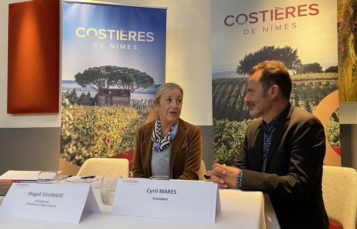 FACT OF THE DAY AOC Costières de Nîmes: a changing appellation