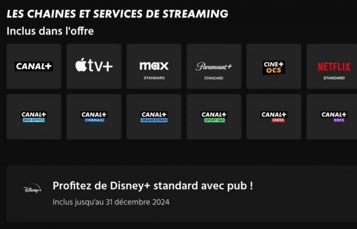 Le prix de Disney+ a doublé en quatre ans : faut-il annuler ?