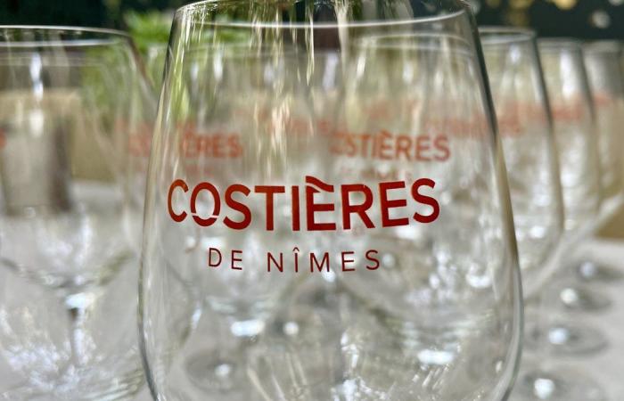 FACT OF THE DAY AOC Costières de Nîmes: a changing appellation