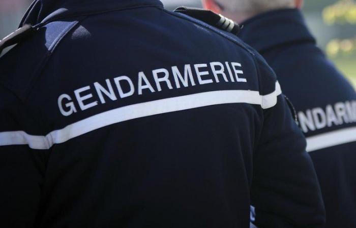 système électronique, carte SIM… ces éléments déterminants qui ont permis aux gendarmes de localiser son corps