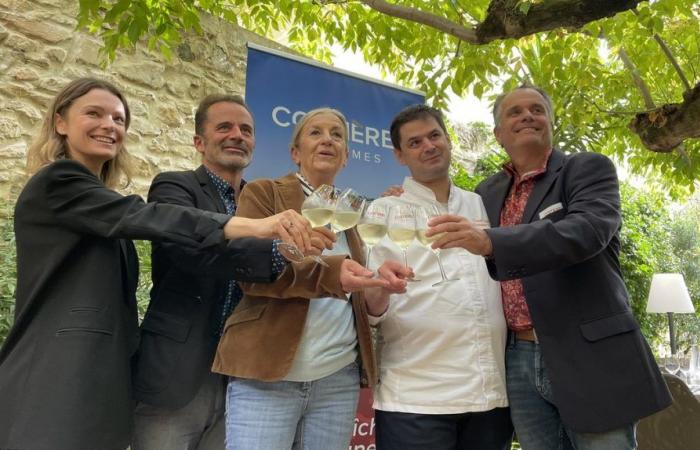 FACT OF THE DAY AOC Costières de Nîmes: a changing appellation