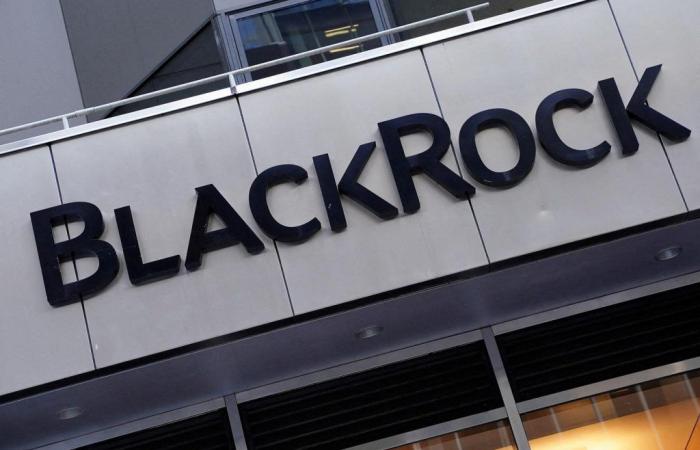 BlackRock accusé d’avoir « induit les investisseurs en erreur » avec certains de ses investissements « durables »