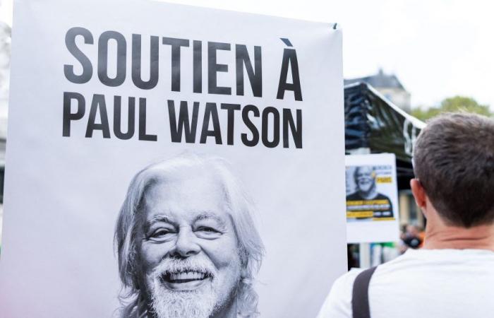 Le militant écologiste Paul Watson demande l’asile politique en France