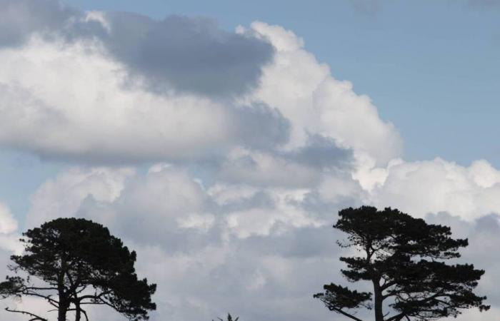 La météo du jeudi 17 octobre 2024 à Douarnenez et ses environs