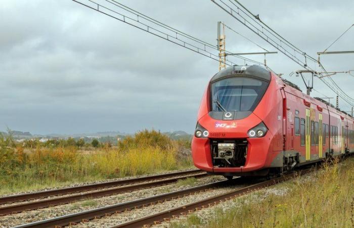 trafic ferroviaire impacté en Occitanie, lignes SNCF paralysées… des perturbations attendues ce jeudi