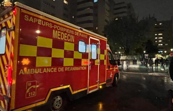 un mort après la chute d’un arbre dans le 19e arrondissement